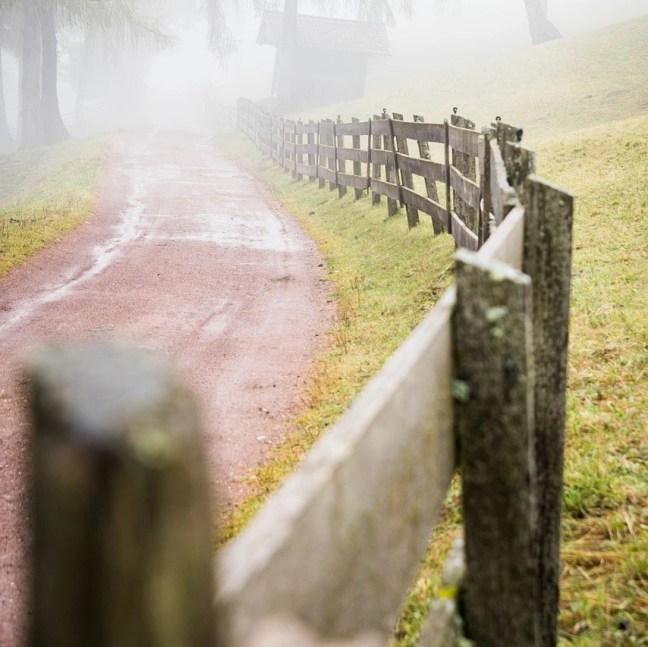 Fence with road on one side.
