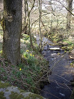 Gadie burn, from Wikimedia. Stanley Howe / Upstream Gadie Burn