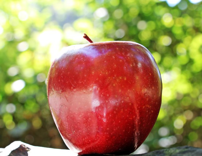 Shiny red apple