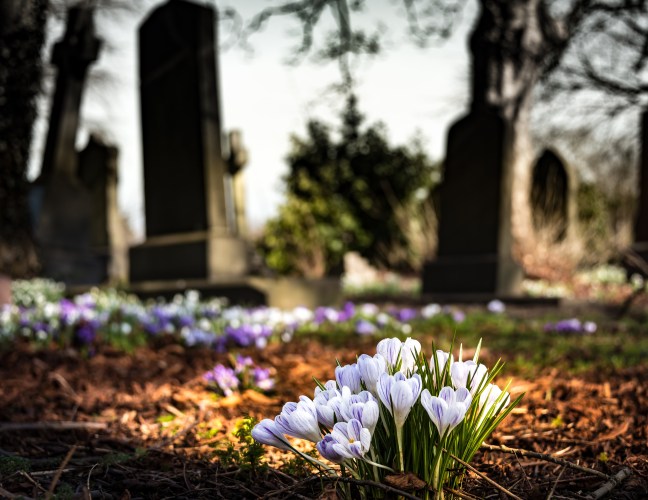 Graveyard - Pixabay, Image by drippycat