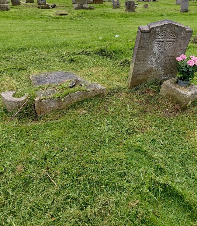 Gravestone with pink rose plant. Houses in the background.